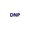 DNP Media